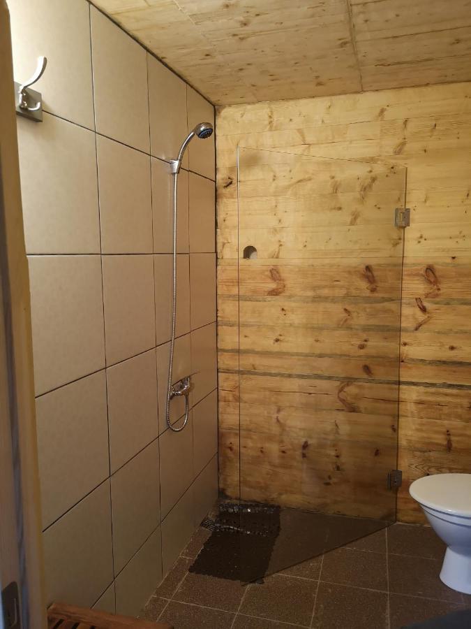 Brivdienu Maja "Raudini" Kaltene Kültér fotó