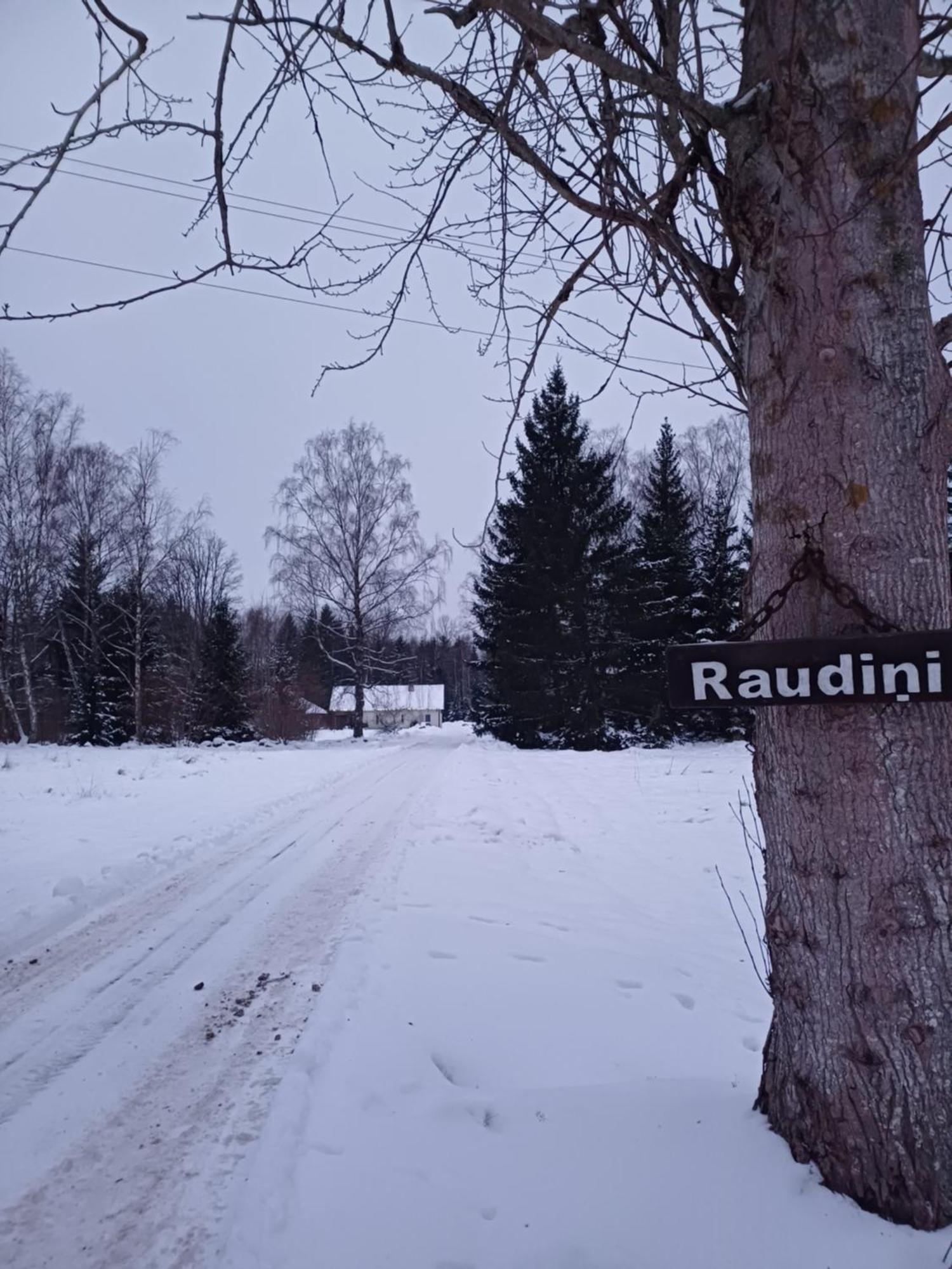 Brivdienu Maja "Raudini" Kaltene Kültér fotó